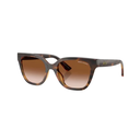 Lentes de sol Armani Exchange 4164SU